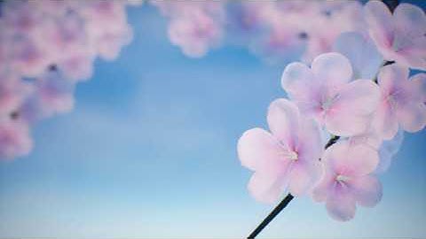 UE4 Vertex Animation Texture Test