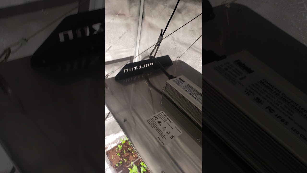 2x4 grow tent setup 2021