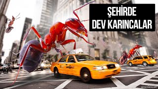 Şehrinizi Dev Karıncalar Ele Geçirseydi Ne Olurdu?