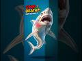 Why Sharks Must Swim NONSTOP to Survive! #shorts #Shark #AnimalFacts #Ocean