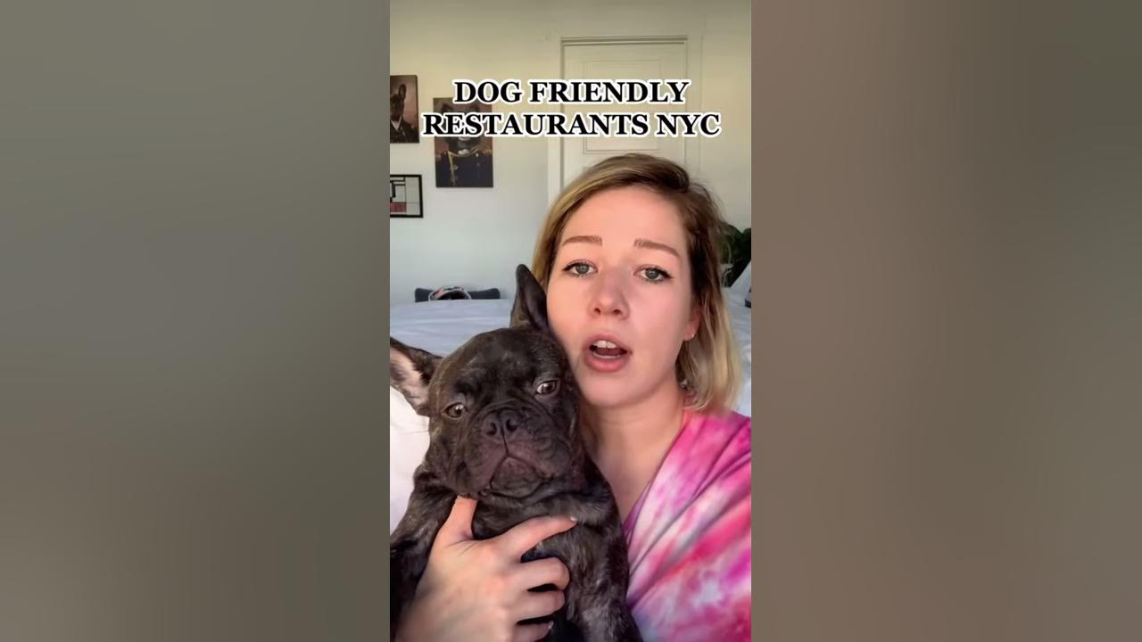 Bring Your DOG To These Restaurants In NYC! YouTube