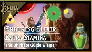 Enduring Elixir (Extra Stamina Wheel) Best Elixir Ingredients - Zelda: Breath of The Wild