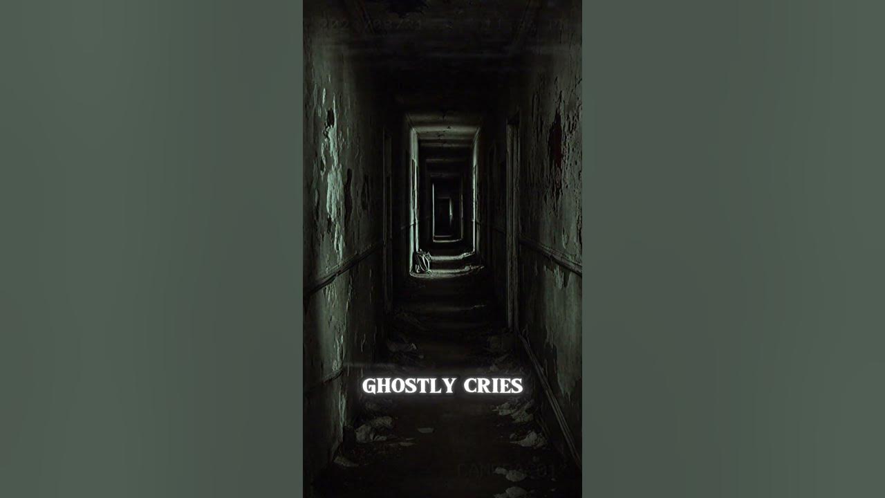 The Asylum's Haunting What We Discovered in the Dark Will Terrify You