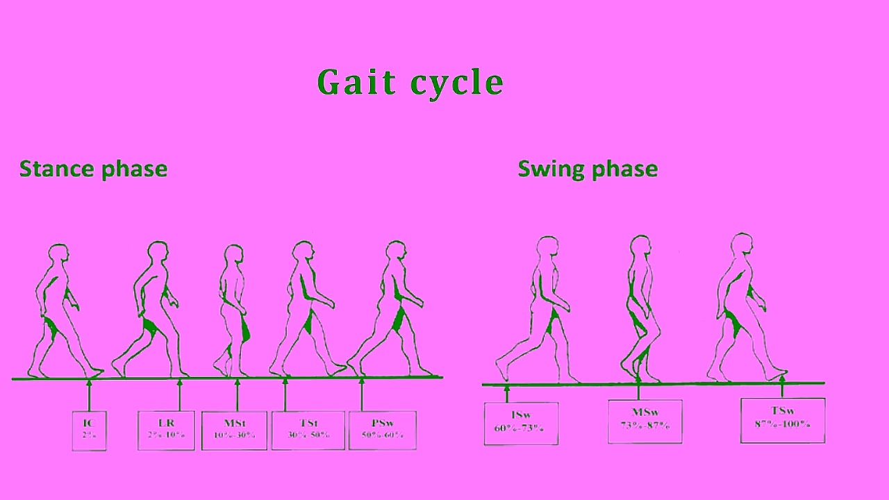 Gait analysis (Intro)