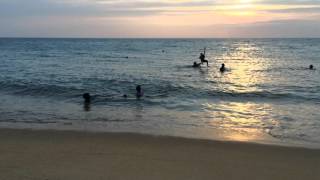 IMG 7181