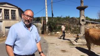 Suso Vilasánchez do BNG de Valdeorras sobre as políticas agrogandeiras