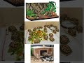 Vivarium - Place for life - Meaning and types - விவரியம்