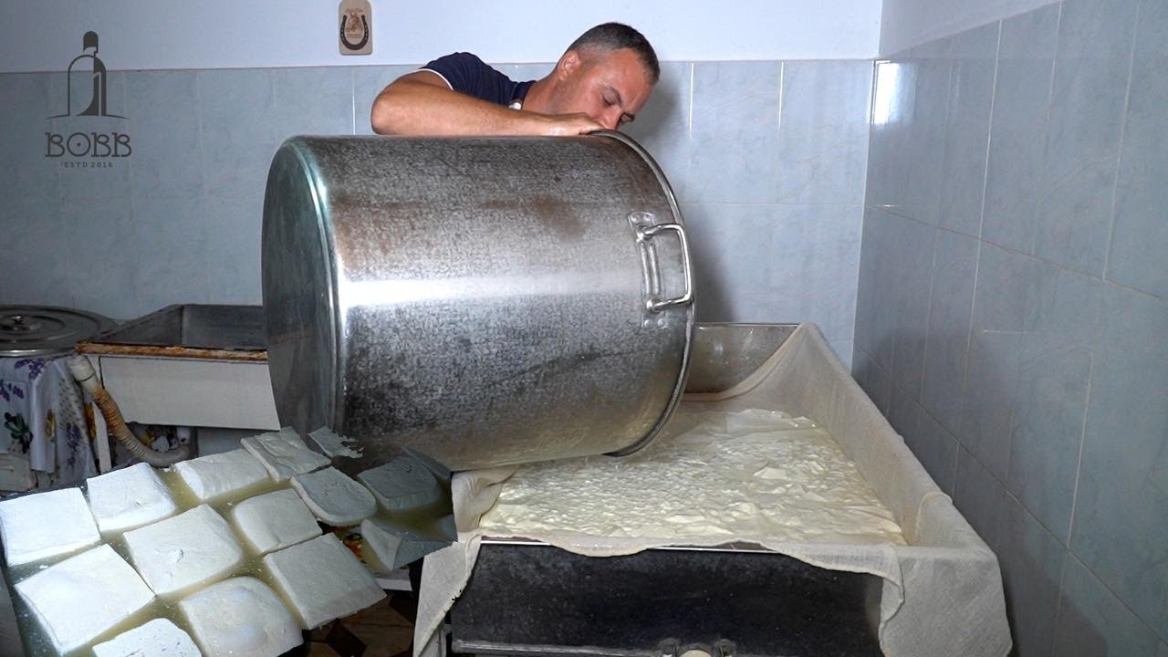 Rețetă autentică de TELEMEA de OAIE cu Robert Dobra | Novac, câinele care a sărit în spate la LUP