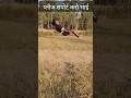 😨👀1V2 Back Flip🙏सपोर्ट करो भाई मुझे #trending #hitsongs