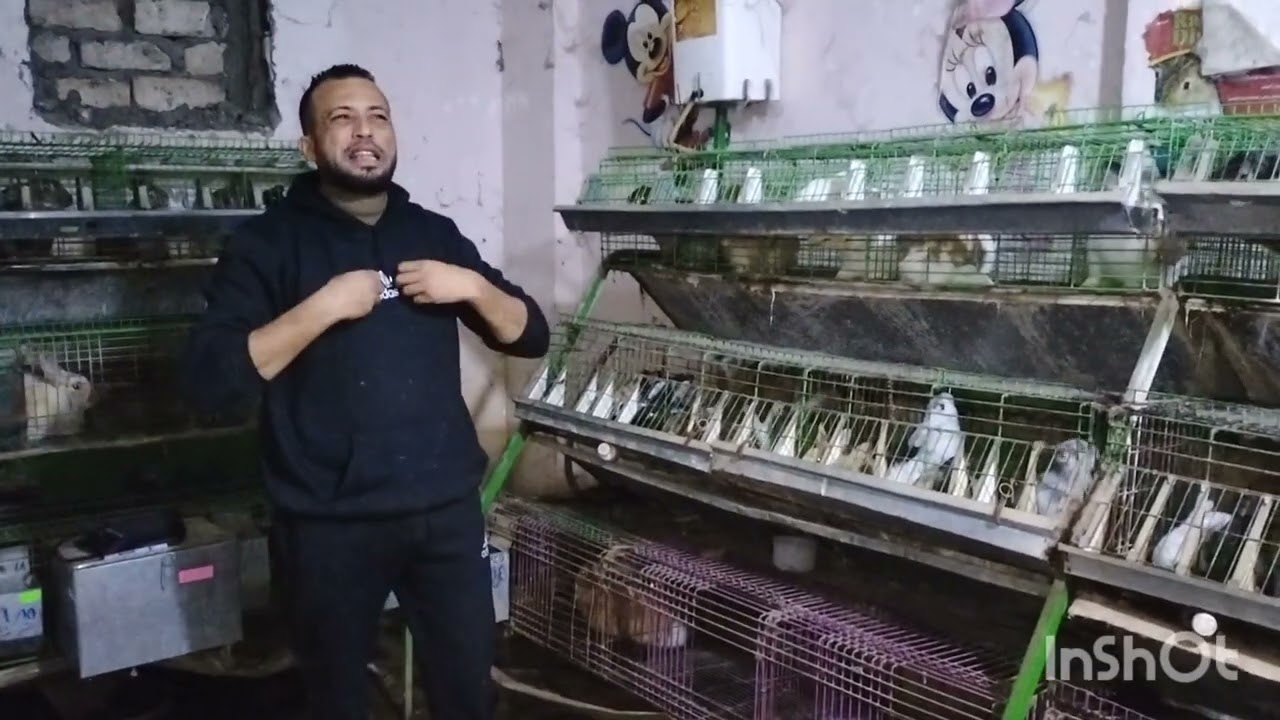 سعر لحم 🐰الارنب في النازل 😌ده مشروع ابن 60 × 70 وانا هبطله🚀 زهقت وجبت اخري🚀 ابسطها لك