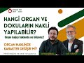 Organlarimiz hakkinda ne blyoruzbz uyuduumuzda organlarimiz da uyur mu organ nakl ve rskler