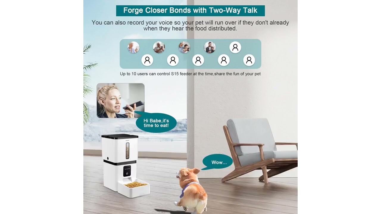 DoHonest Automatic Dog Feeder Review: Smart Pet Feeding with Camera & App Control