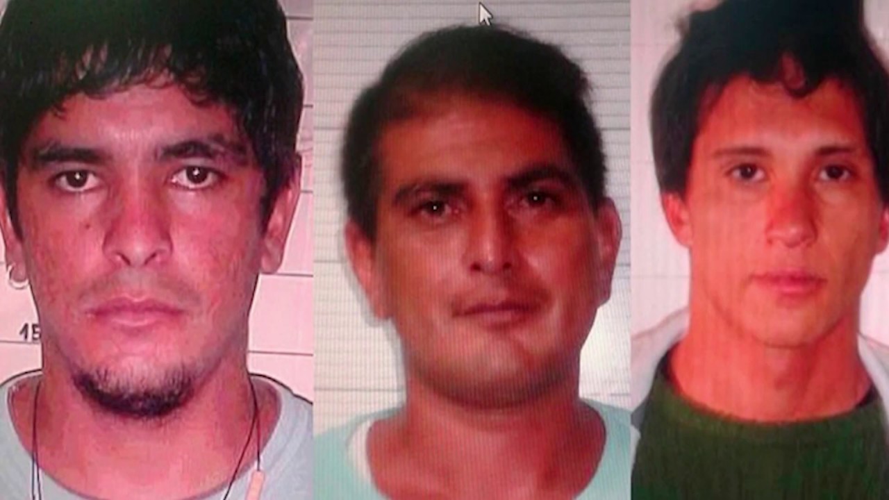 INFORME TRIPLE CRIMEN vivo y85