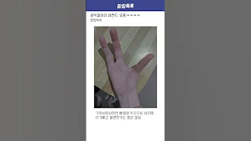 공익갤러리 레전드 모음 2탄ㅋㅋㅋㅋㅋ 