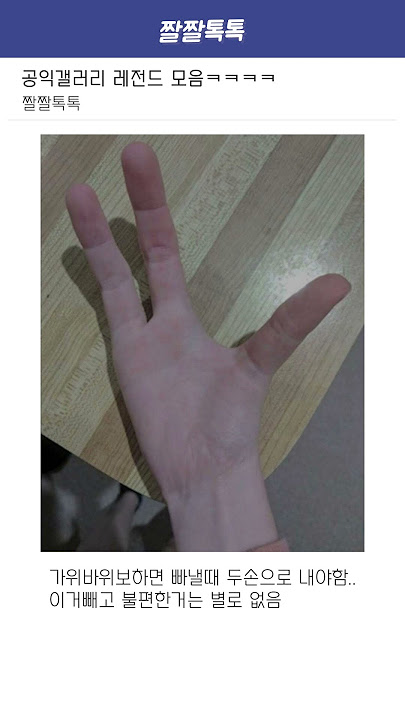 공익갤러리 레전드 모음 2탄ㅋㅋㅋㅋㅋ