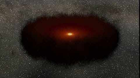 Echo Mapping in a Black Hole Accretion Disk and Torus