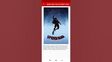 Flutter Project: Movies Exploration App
