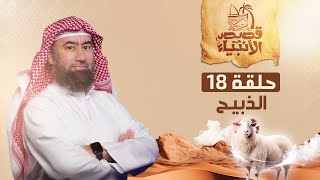 نبيل العوضي | قصة الذبيح إسماعيل عليه السلام screenshot 5