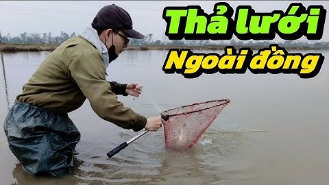 Thả Lưới Ngoài Đồng Bắt Được Quá Nhiều Cá – Cuộc Sống Mưu Sinh Miền quê 
