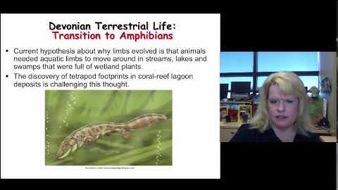 Devonian Period Overview - Part II