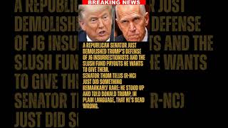 BREAKING: A Republican senator just DEMOLISHED Trump’s defense of J6 insurrectionists