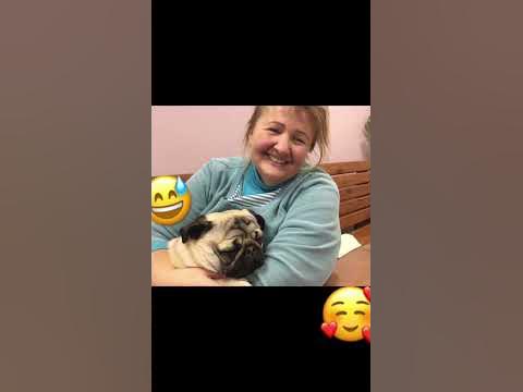 Внуков любят больше 😅 - YouTube