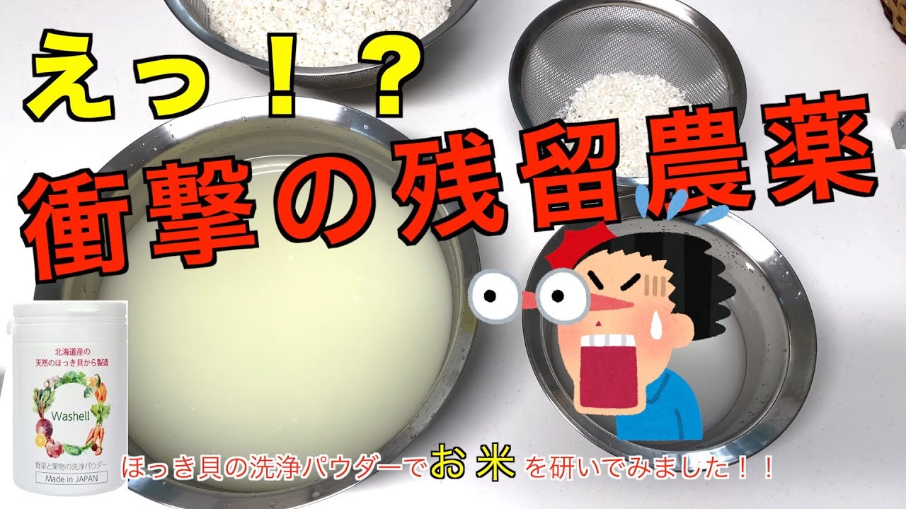 【農薬除去に効果バツグン】お米の洗浄!!ほっき貝の洗浄パウダーWashell