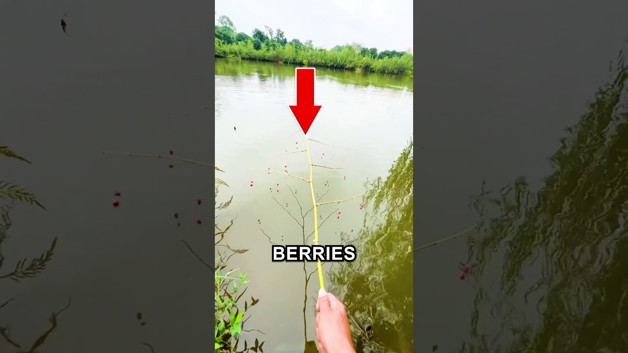 Genius Fishing Trick 🤯