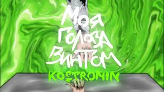 Kostromin - Моя Голова Винтом текст