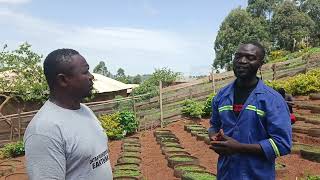 How A Young Graduate Uses Old Tyres To Nurse Variety Of Garden Seedlings