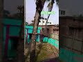 চোখের পানির যে কতো কারিশমা #youtubeshorts #shortsviral #beatifulnature #সব #lifeisbutadream