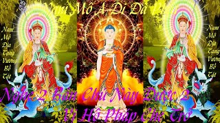 Om Ha Ha Ha Vismaye Svaha Om Ami Dewa Hri Nghe Được 2 Vị Hộ Pháp Bảo Hộ -Tiêu Tai Giải Hạn- ManTra