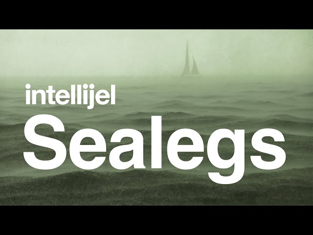 Intellijel Sealegs - YouTube