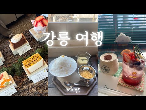 1박 2일 강릉 여행 vlog 🐬원조 순두부 맛집 겨루기 이색 카페와 소품샵 추천ㅣ시만차,두딩,이진리,강릉중앙시장,최일순짬뽕순두부,동화가든,애시당초,오프더월,만동제과,엄지네포장마차
