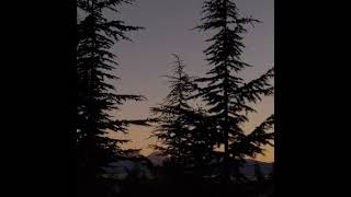 Nihal ♪ Açık Adres (Cover)