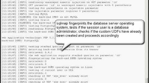 Official sqlmap video demonstration 8