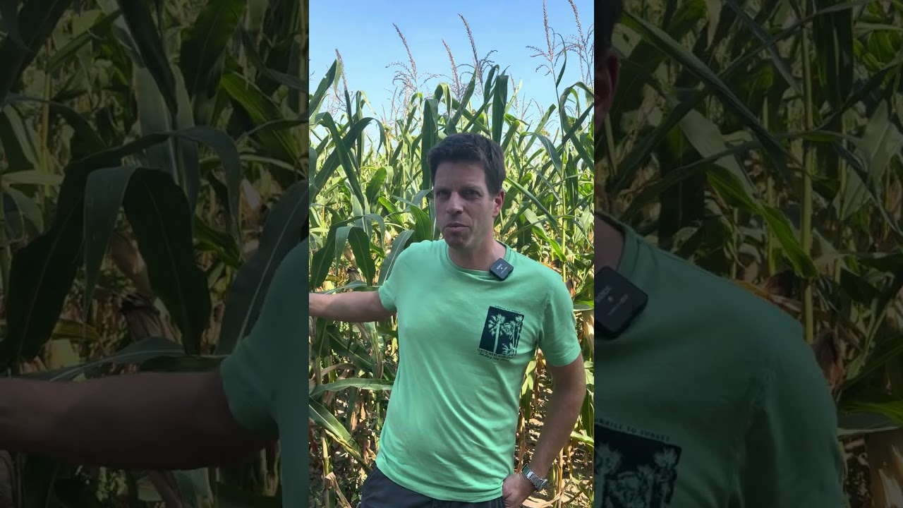 Auswirkung Klimawandel