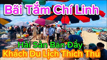 704 .Bãi Tắm Chí Linh Hải Sản Bán Đầy Bãi Biển Khách Du Lịch Thích Thú