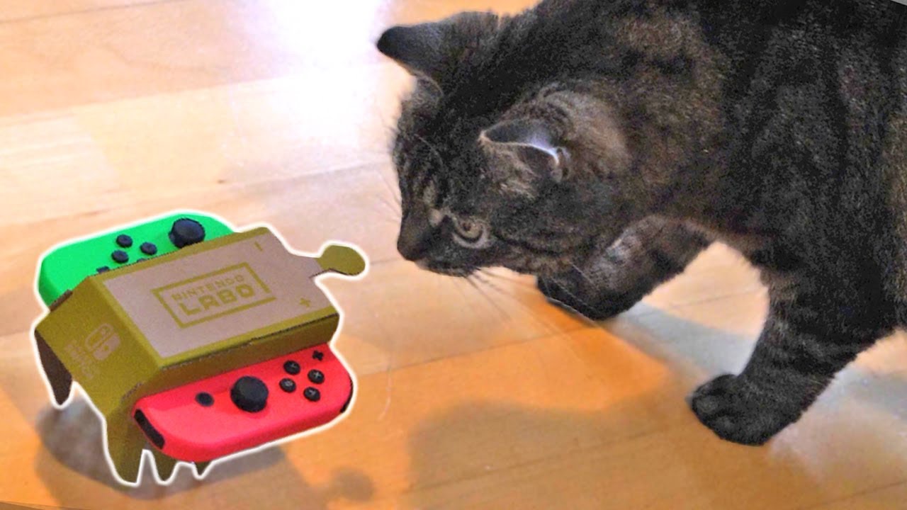 pubg mobile CAT REACTS TO LABO... Unboxing Nintendo Labo Piano + RC Car