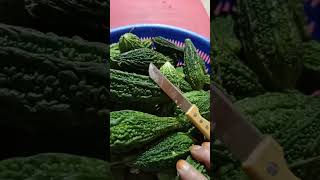 karely ki subzii... daily life vlogs#11