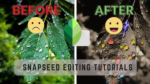 creative multi color tone water drops on leaf | snapseed photo Editing tutorial | how to edit leaf