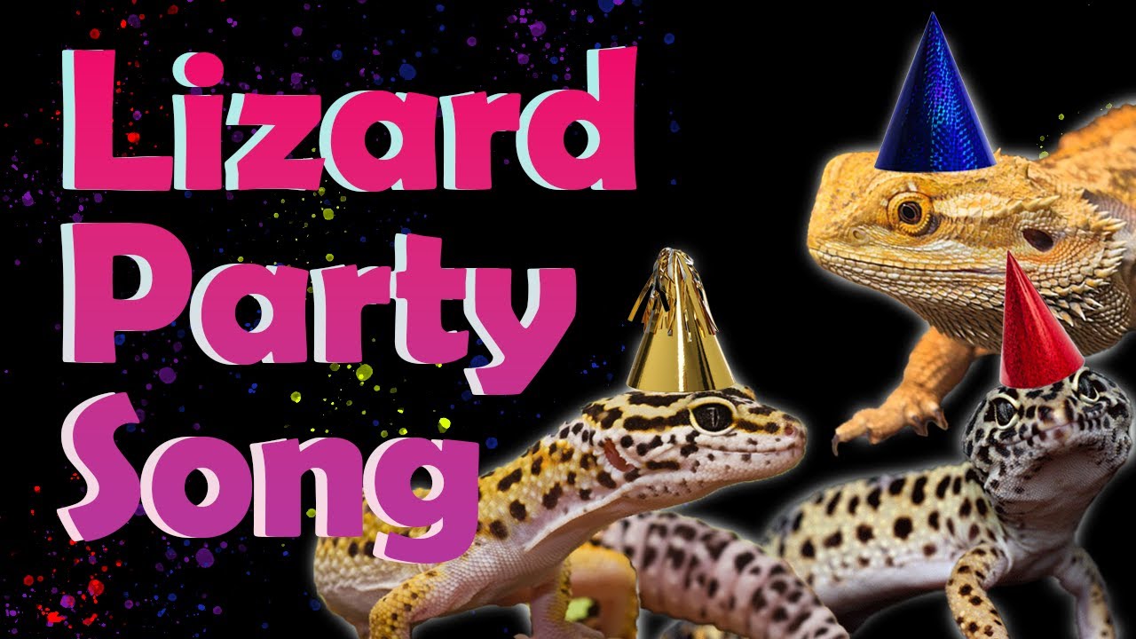 Lizard Party Song Lizard Party Song