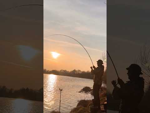 Рыбалка… #fishinghub #рыбалка #рыбалканафидер #fishing #рыбалкананогах #shorts #фидер #донка