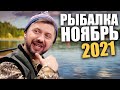 Рыбалка в ноябре 2021! Правильная наживка для хорошего клева! Осенняя рыбалка 2021 от Дизель шоу!