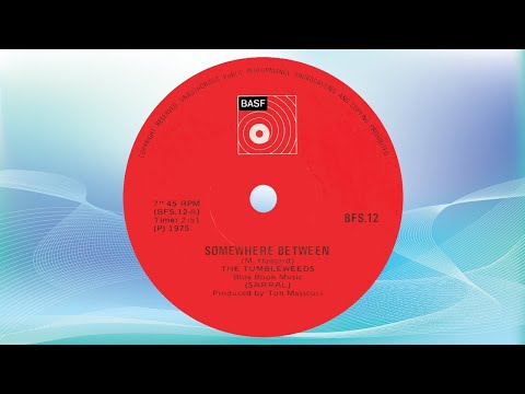 The Tumbleweeds - Somewhere between