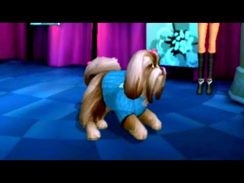 Barbie Groom And