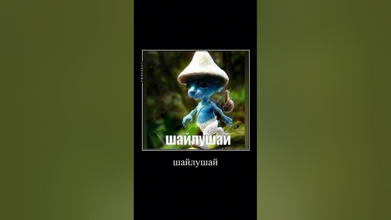 шайлушай #мем #чикенган #чг #шайлушай - YouTube