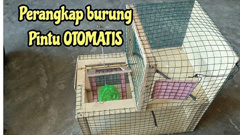 Cara bikin Perangkap burung Pintu OTOMATIS