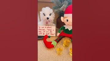Would you try it? Apple juice or elf pee? #elfontheshelf #elf #christmas #funny