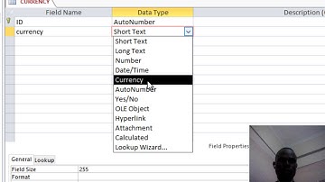 customising currency symbols  from dollar symbol to others of your choice